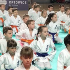 SUKCESY W PUCHARZE ŚLĄSKA KARATE KYOKUSHIN